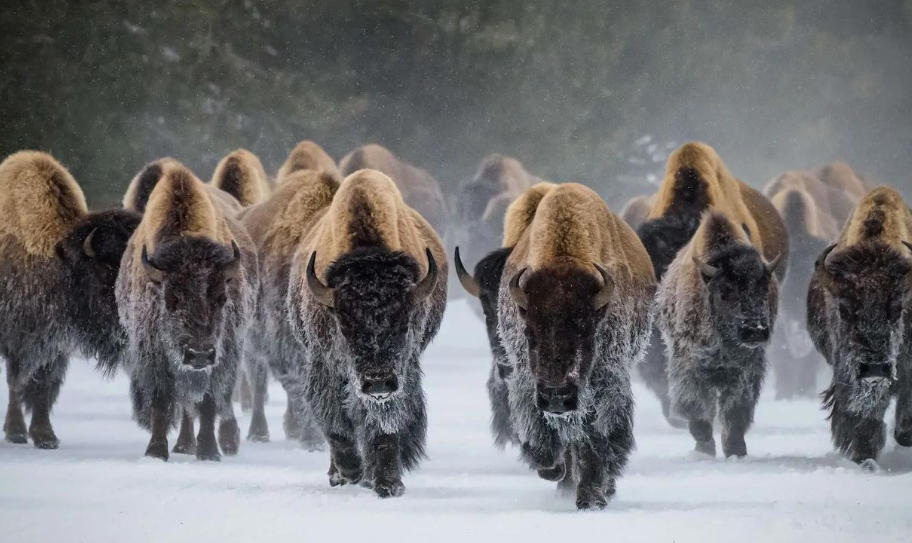 北戴河永誠有限公司輪播圖4